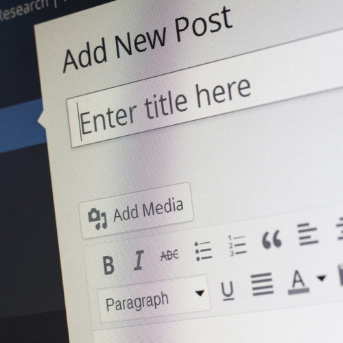 Optimized WordPress hosting for startups with fast, secure, and scalable solutions.